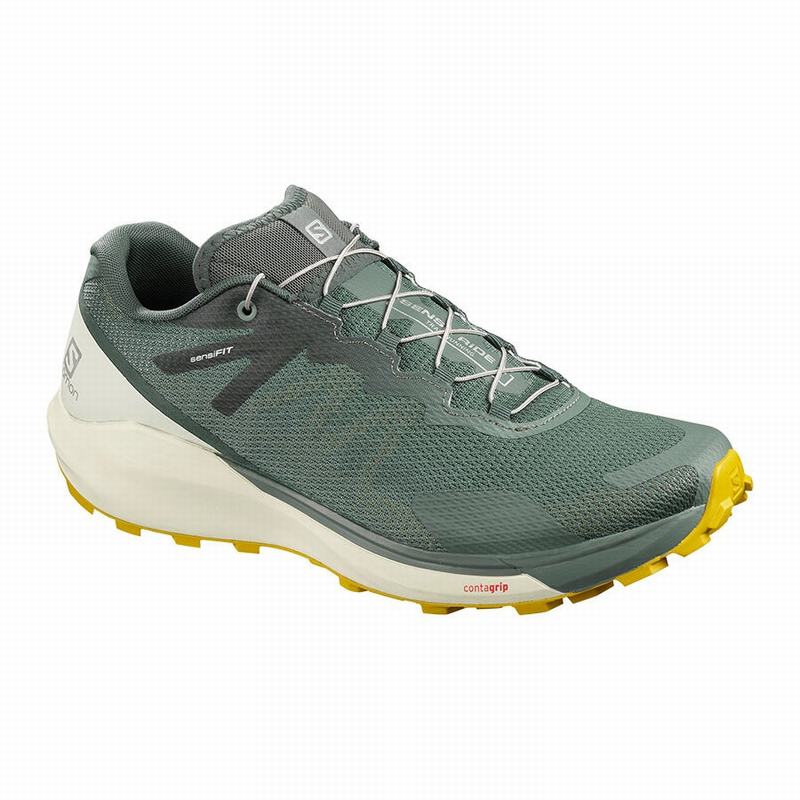 Chaussure Running Salomon Homme Vert Olive - Salomon SENSE RIDE 3 - France (4915-AIZQU)